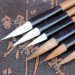 Painting brushes فرش رسم