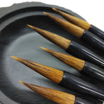 Painting brushes فرش رسم