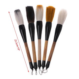 Painting brushes فرش رسم